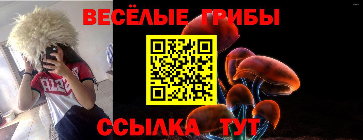 Псилоцибиновые грибы ЛСД Заинск